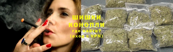 mdpv Бородино