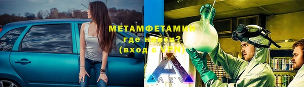 спиды Богданович