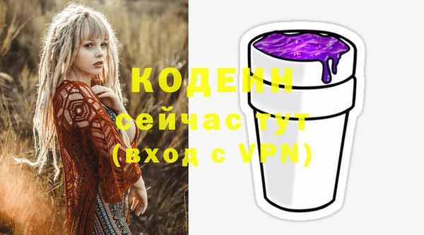 mdpv Бородино