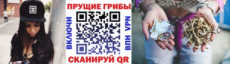 как найти наркотики  Кимовск  кракен зеркало  Псилоцибиновые грибы MAGIC MUSHROOMS 